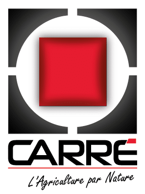 logo CARRE vertical +Baseline